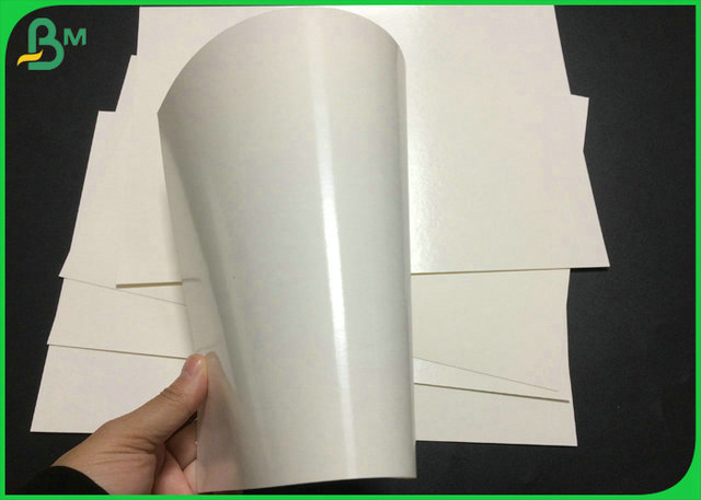 Foodgrade PE 210gr 230gr покрыло 1 бортовую белую бумагу CupStock для выпивая чашки